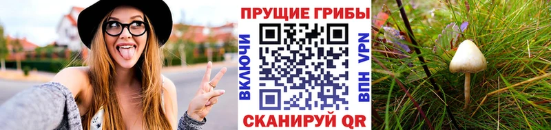 Галлюциногенные грибы Cubensis  Купить закладки  Ирбит 